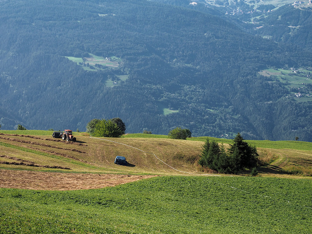 tracteur-champs-alpages-gr5-savoie