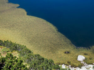 algues-eau-lac-rila-bulgarie