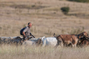 berger-chevres-campagne-bulgarie