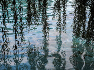 plan-eau-jardin-tsar-simeon-plovdiv-bulgarie