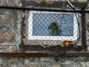 reflet-photographe-fenetre-batiment-sommet-mont-moussala-bulgarie