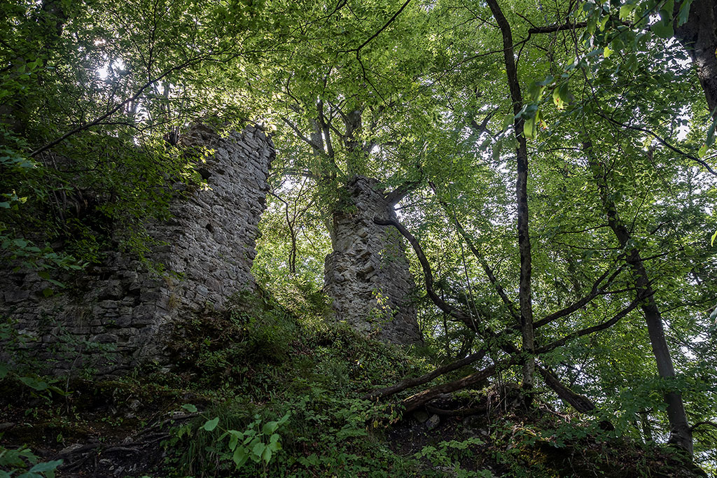 Ruines de l'ancien château de Divja Loka à Skofja Loka