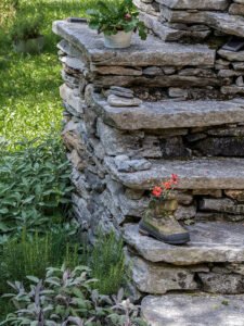 fleurs-chaussure-randonnee-escalier-maison