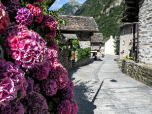 fleurs-roses-rue-village-sonogno-vallee-verzasca-suisse