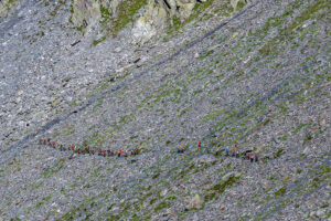 groupe-randonneurs-sentier-pierrier-lac-fenetre-col-grand-saint-bernard-suisse