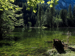 lac-gosau-intermediaire-autriche