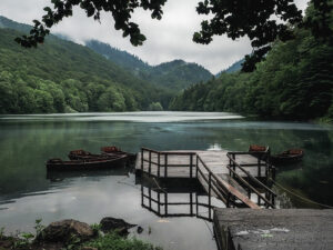 ponton-barques-lac-biogradska-gora-montenegro