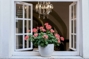pot-fleur-fenetre-rue-salzburg-autriche