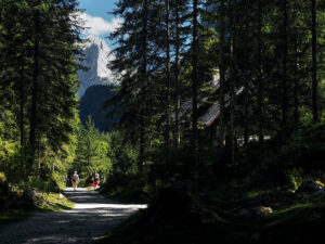 randonneurs-maison-forestiere-lac-gosau-autriche
