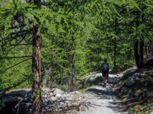 randonneuse-sentier-tour-lacs-mont-cervin-suisse