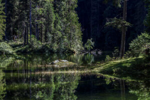 reflets-arbres-lac-gosau-intermediaire-autriche