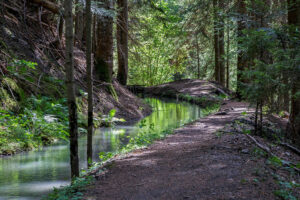 sentier-bisse-rho-crans-montana-suisse