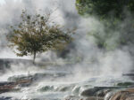 Vapeur d'eau chaude autour d'un arbre de la cascade de sel d'Egerszalok en Hongrie