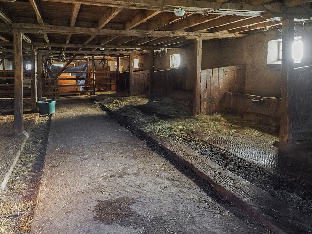 Sous-sol semi-enterré de la grange de la Panèterie à Goulles en Corrèze