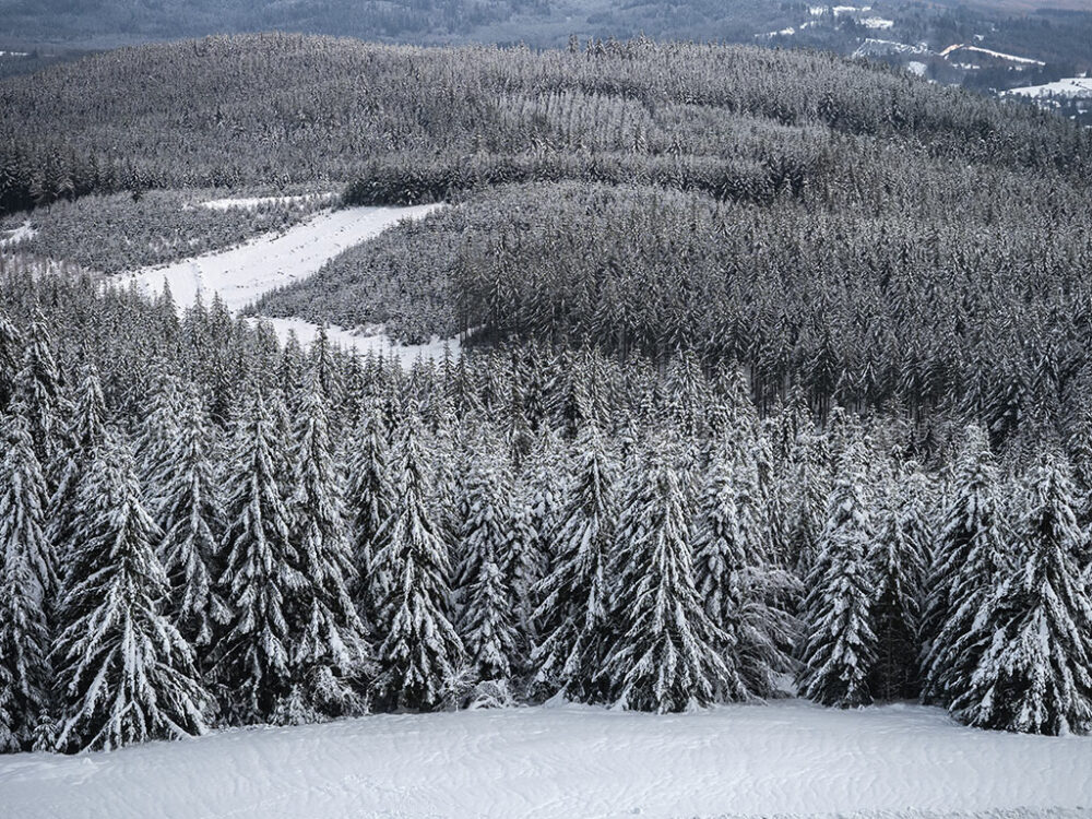 Marche blanche
