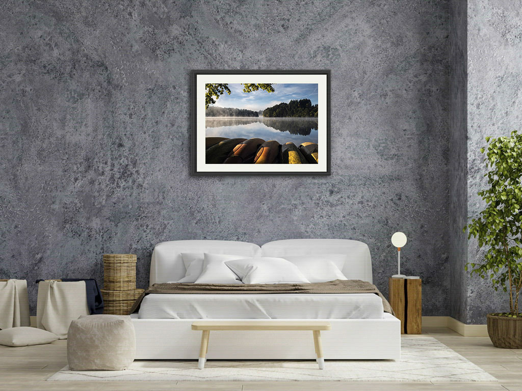 Les lions de mer dorment encore – Image 7