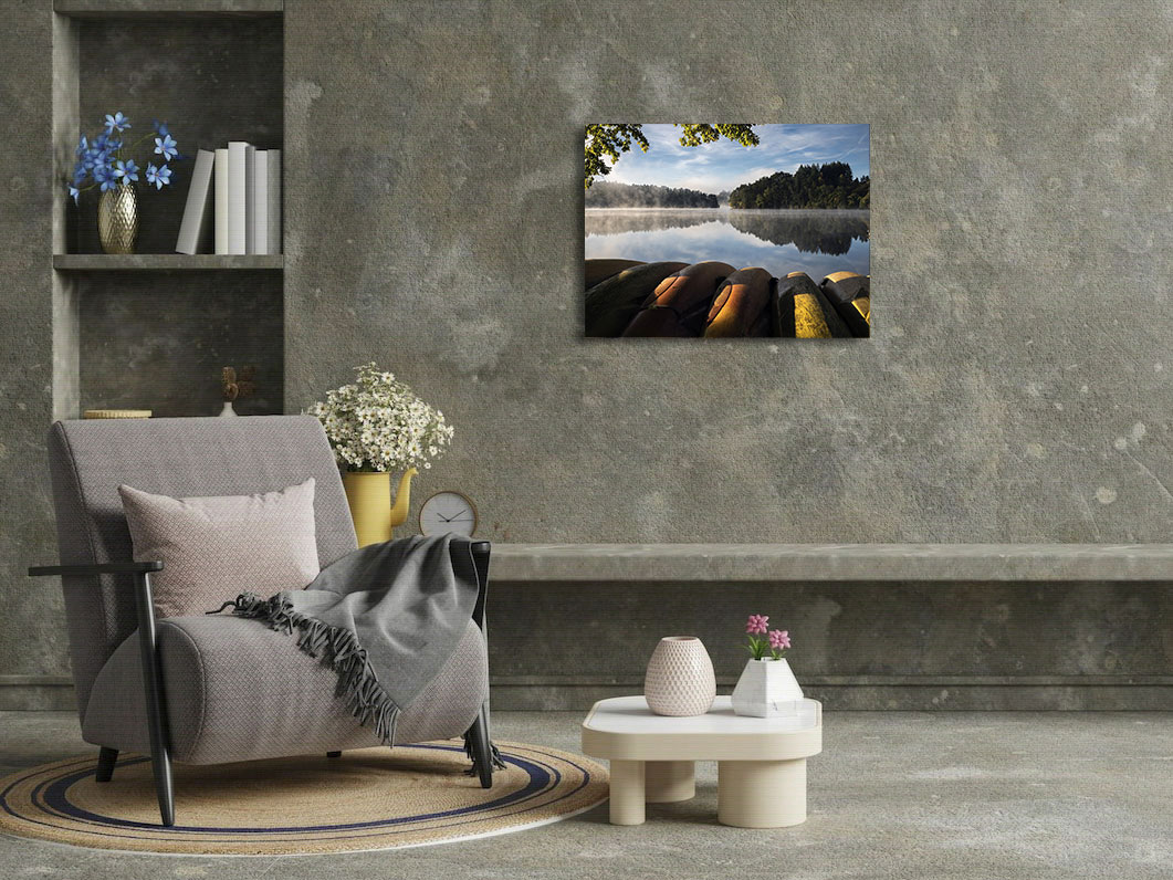 Les lions de mer dorment encore – Image 3