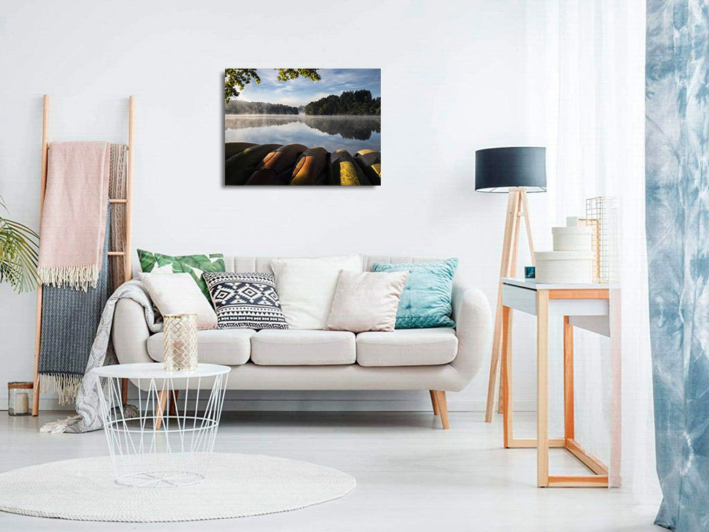 Les lions de mer dorment encore – Image 8