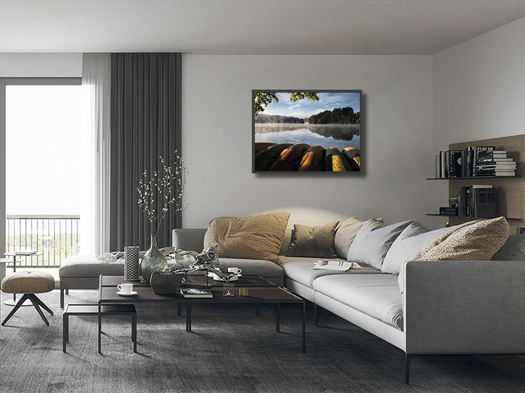 Les lions de mer dorment encore – Image 5