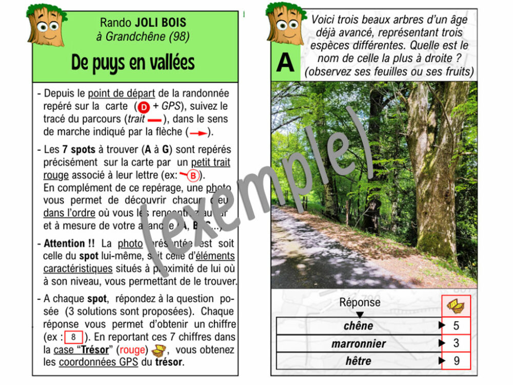 Marcillac-la-Croisille (JOLI BOIS) – Image 4