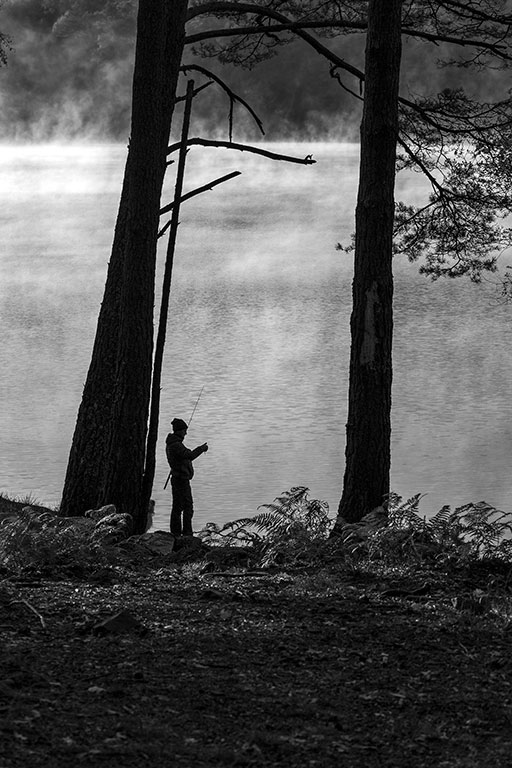 Silhouette d'un pêcheur dans une forêt au bord d'un lac